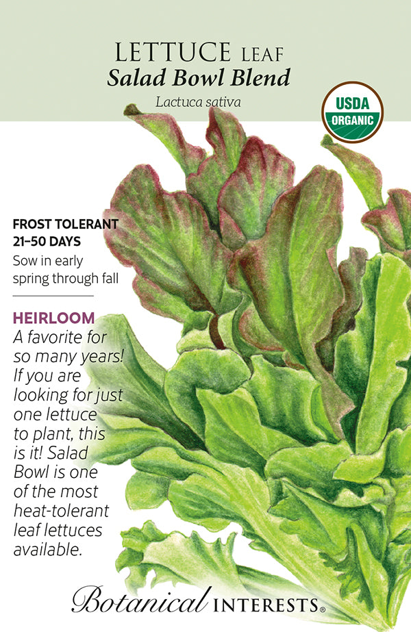Lettuce Leaf - 'Salad Bowl Blend' Organic Seeds