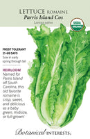 Lettuce Romaine - 'Parris Island' Organic Seeds