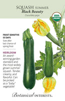 Squash Summer - 'Black Beauty' Seeds