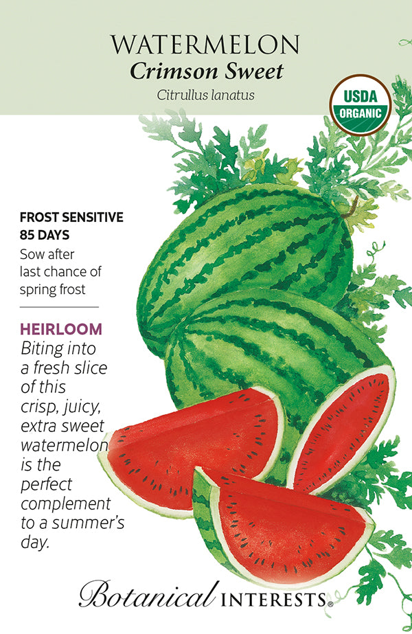 Watermelon - 'Crimson Sweet' Organic Seeds