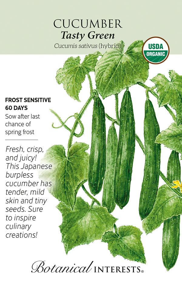 Cucumber - 'Tasty Green' Organic Seeds