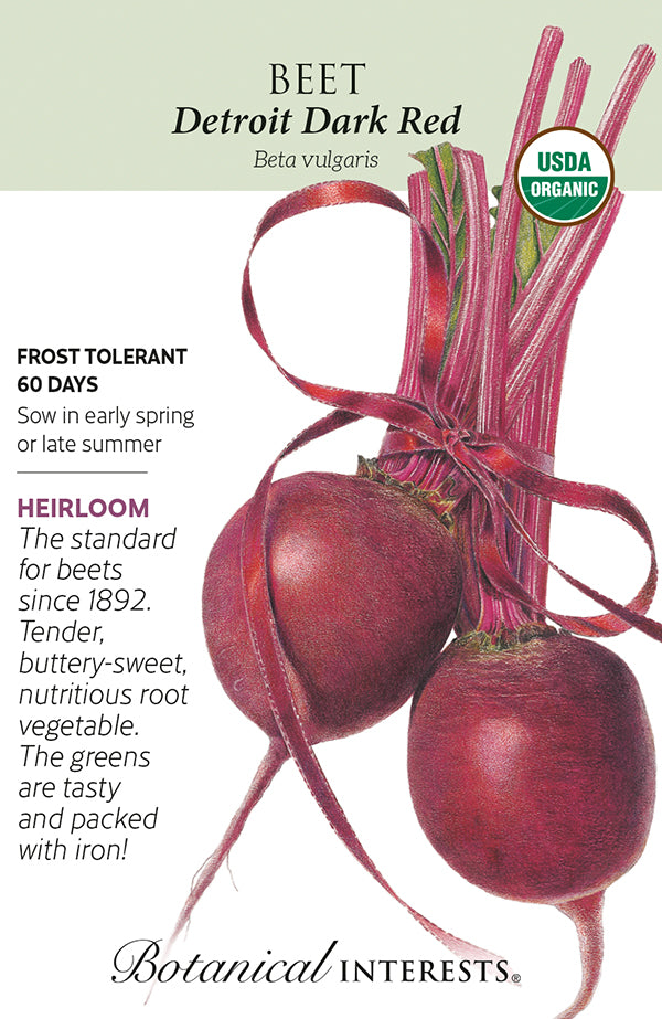 Beet - 'Detroit Dark Red' Seeds Organic