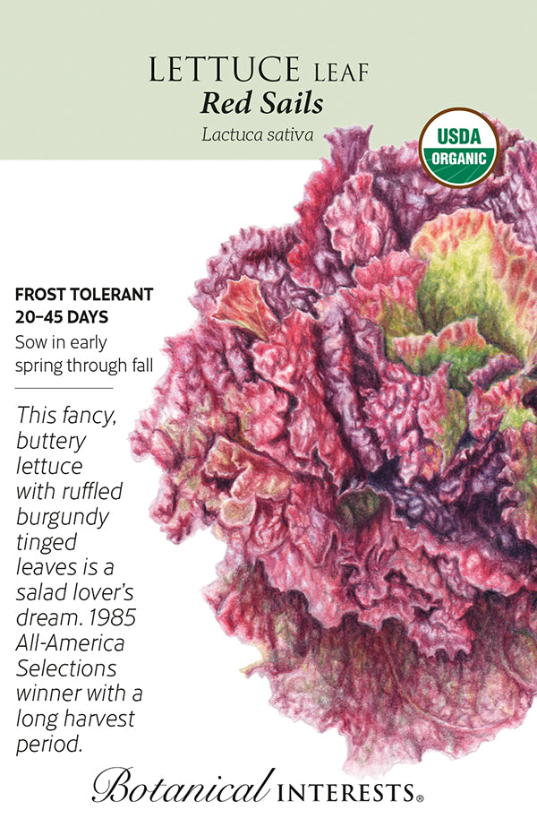 Lettuce Leaf - 'Red Sails' Organic Seeds