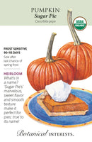 Pumpkin - 'Sugar Pie' Seeds Organic
