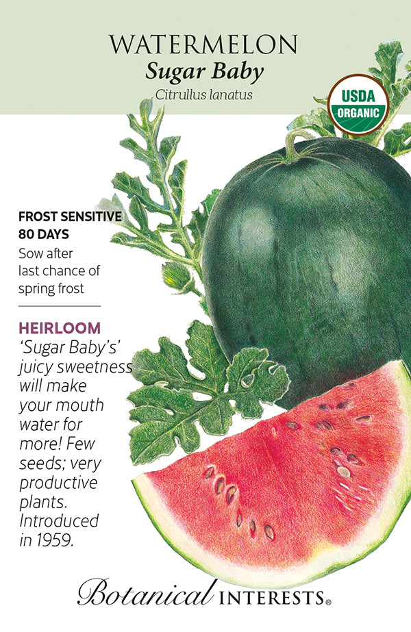 Watermelon - 'Sugar Baby' Organic Seeds