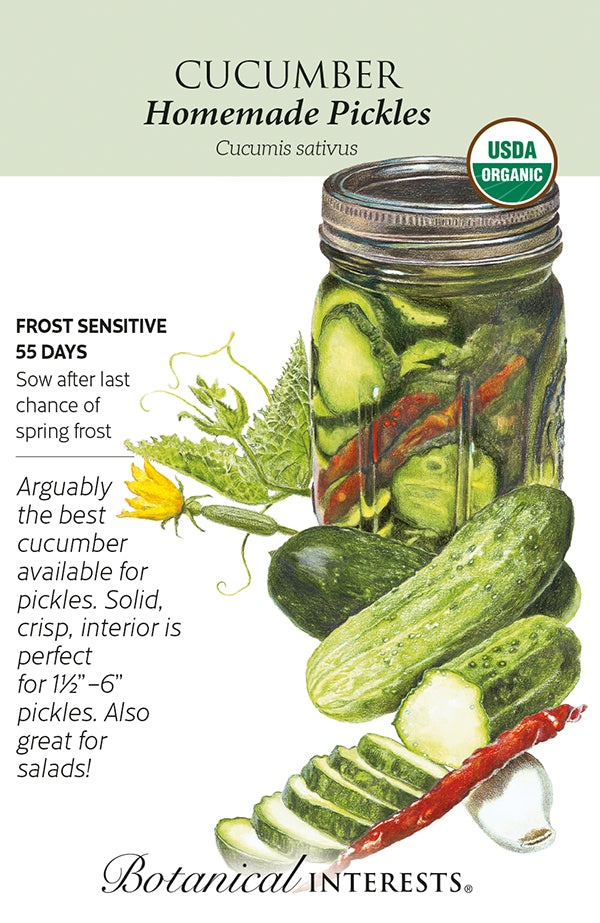 Cucumber - 'Homemade Pickles' Organic Seeds