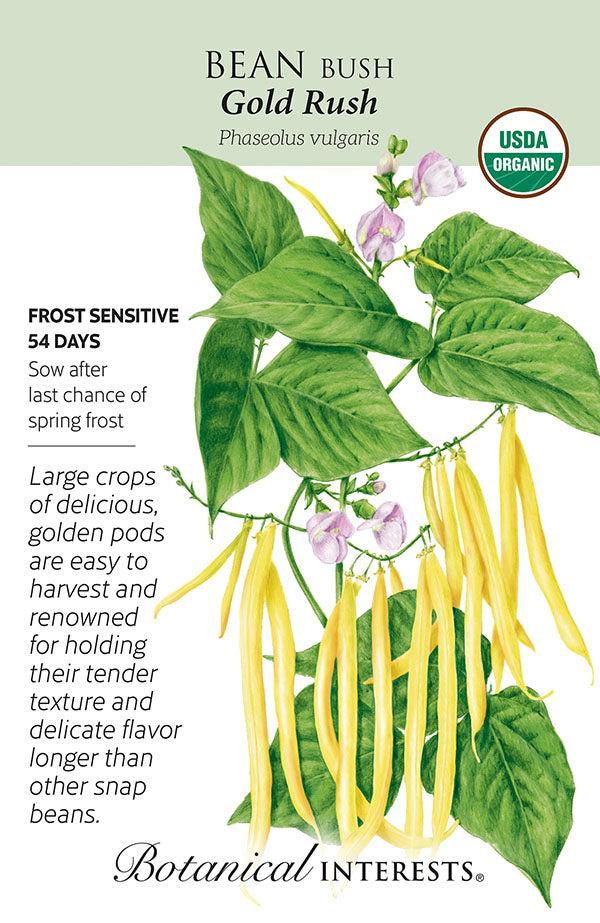 Bean Bush 'Gold Rush' Seeds Organic