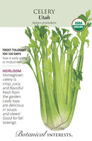 Celery - 'Utah' Seeds Organic