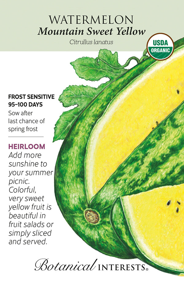 Watermelon - 'Mountain Yellow' Organic Seeds