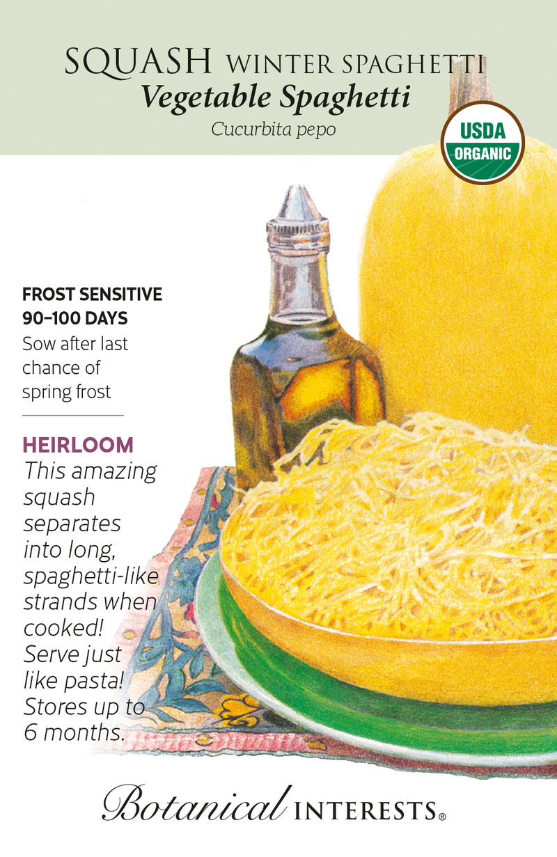 Squash Winter - 'Vegetable Spaghetti' Seeds Organic