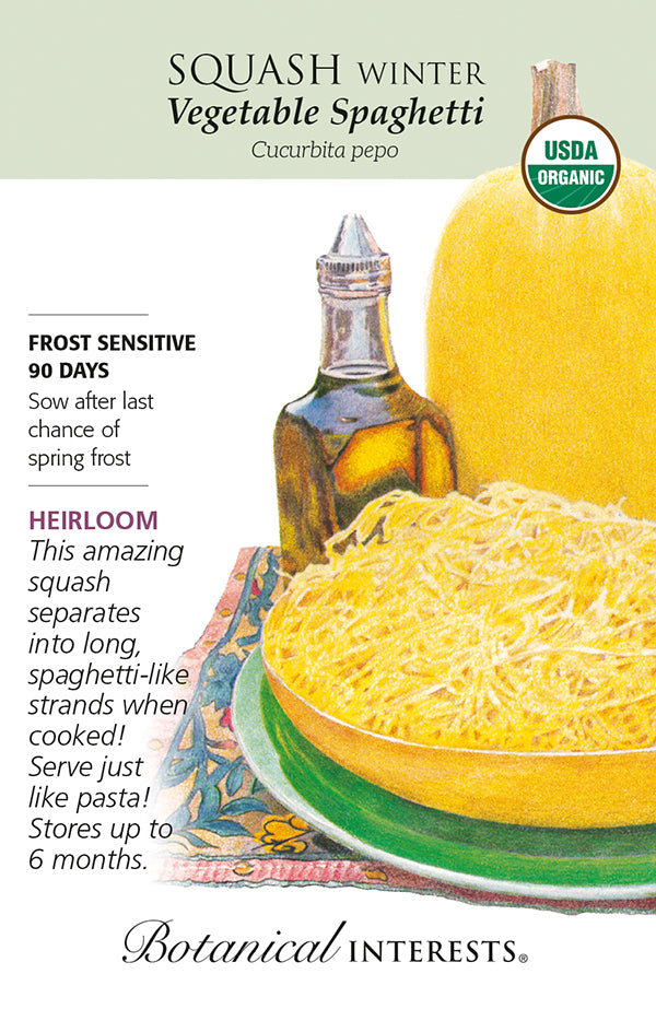 Squash Winter - 'Vegetable Spaghetti' Organic Seeds