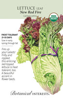 Lettuce Leaf - 'New Red Fire' Organic Seeds
