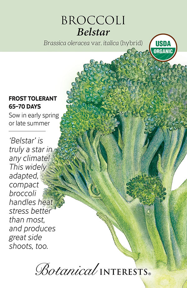Broccoli - 'Belstar' Organic Seeds