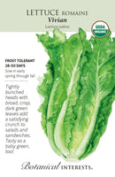 Lettuce Romaine - 'Vivian' Seeds Organic