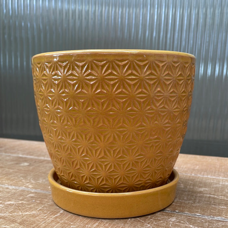 4.5" Yellow Prism Ceramic Pot with Saucer