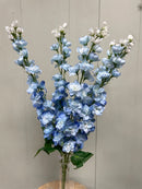 27” Premium Delphinium Bush