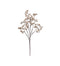 18" Champagne Gold Berry Pick