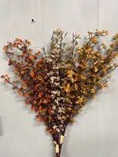 33" Fall Wax Flower Bundle