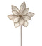 11.75" Champagne Glitter Edge Poinsettia