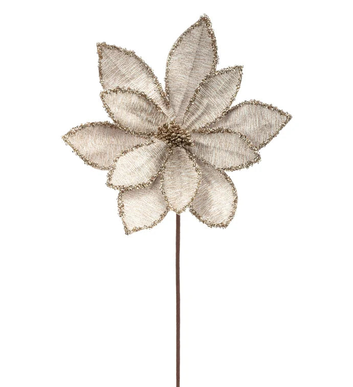 11.75" Champagne Glitter Edge Poinsettia