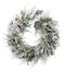 24" Frosted Douglas Fir with Cones Wreath