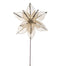 12.25" Champagne Glitter Stripe Poinsettia