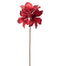 Red Velvet Amaryllis Pick
