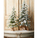 28" Lighted Flocked Pine Tree in Bag