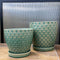 Aqua Green Lattice Pot with Saucer