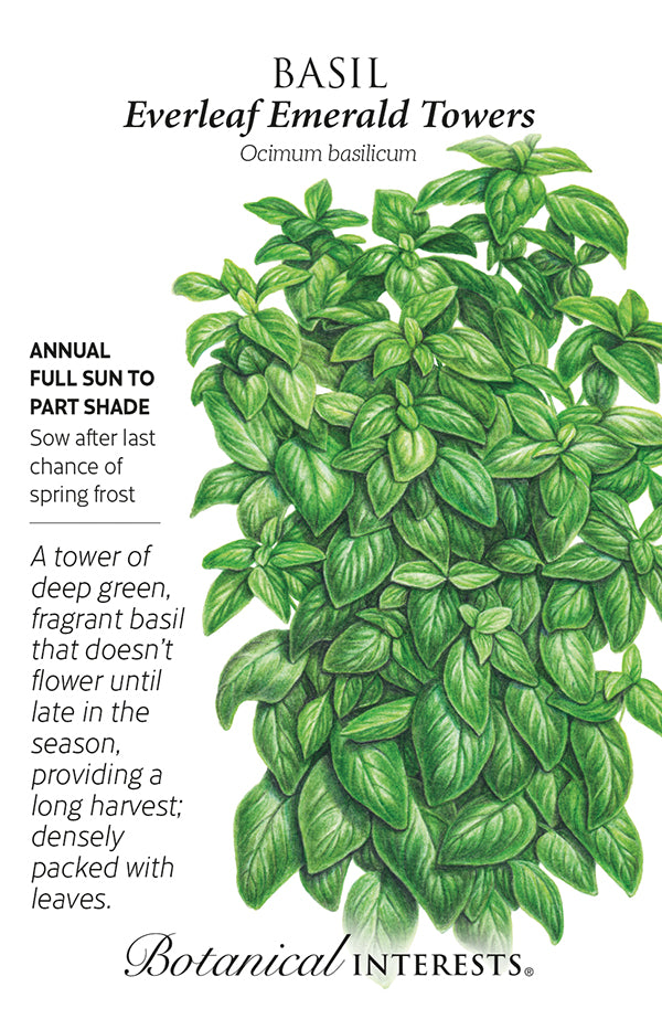 Basil - 'Everleaf Emerald Towers' Seeds