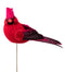 Large Cardinal Pick
