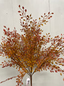 19" Fall Baby Tears Bush