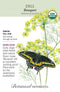 Dill - 'Bouquet' Herb Seeds