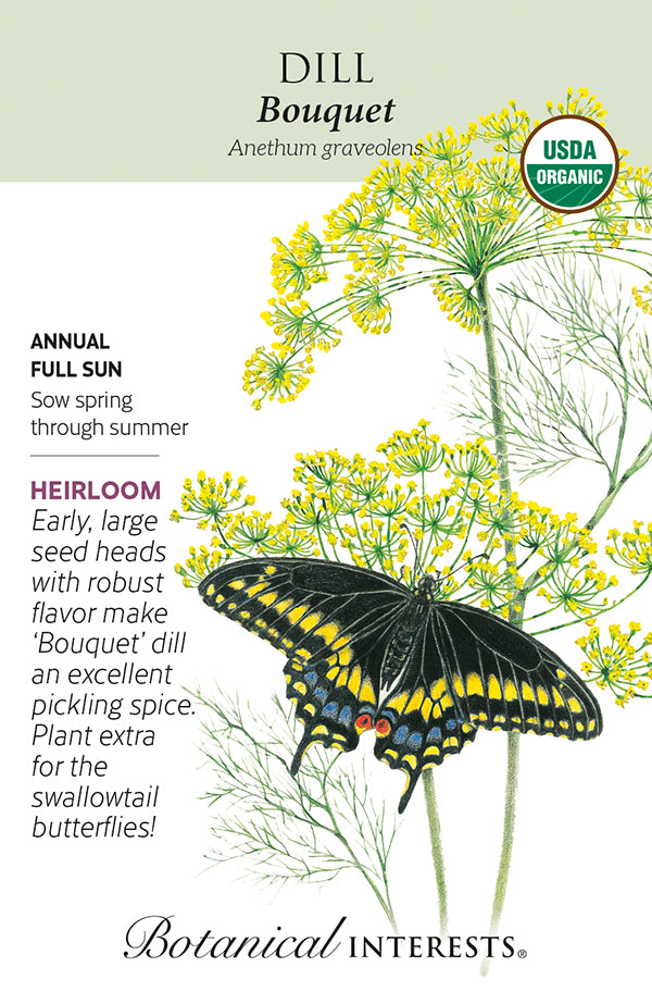 Dill - 'Bouquet' Herb Seeds