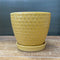 Yellow Prism Pot with Saucer