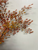 19" Fall Baby Tears Bush