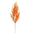 Orange Autumn Branch