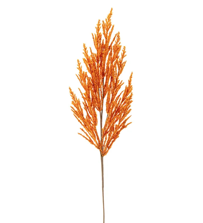 Orange Autumn Branch