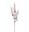 29" Cinnamon Mixed Berry Spray