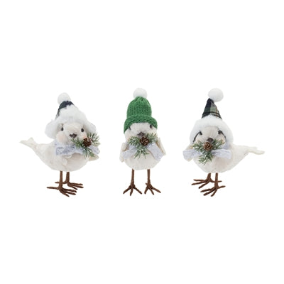 Stocking Hat Winter Bird