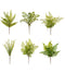 Assorted Greens Pick