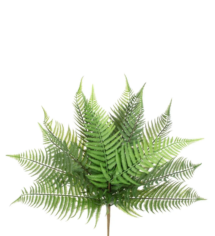 17" Fern Bush
