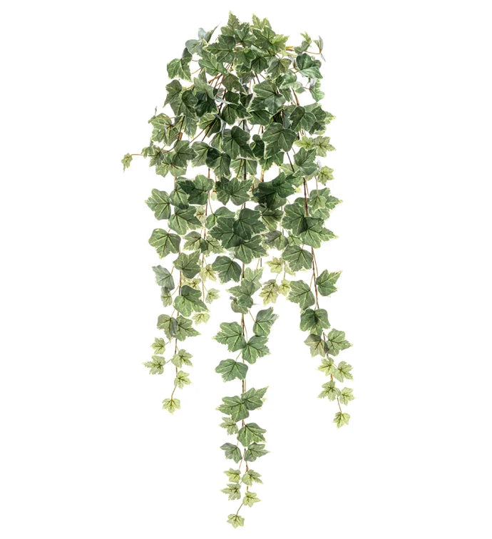 35.5" Ivy Leaf Vine