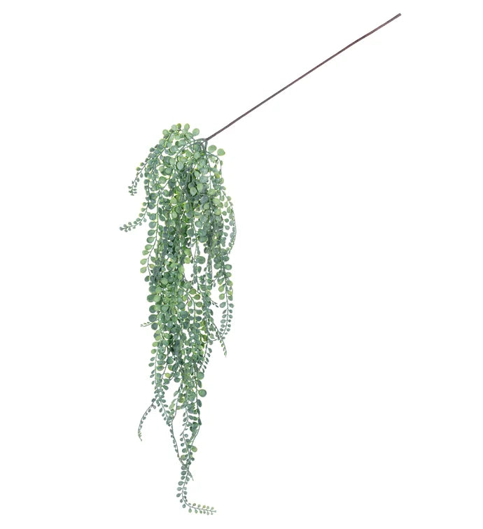 48" Green Moringa Hanging Vine