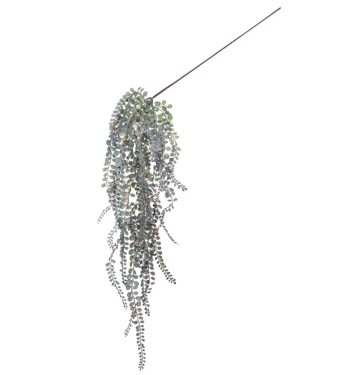 48" Dark Green Moringa Hanging Vine