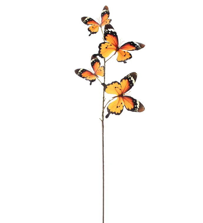 Orange Butterfly Spray