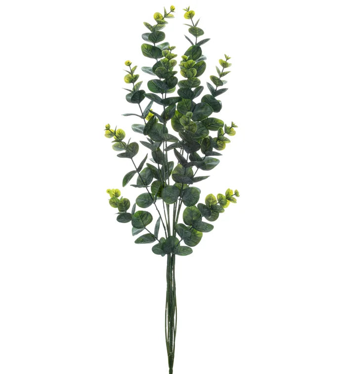 32" Eucalyptus Bush