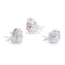 Gold and Silver Accent Winter Birds