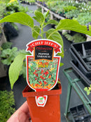 Pepper (Hot) - Chef Jeff ‘Tabasco’