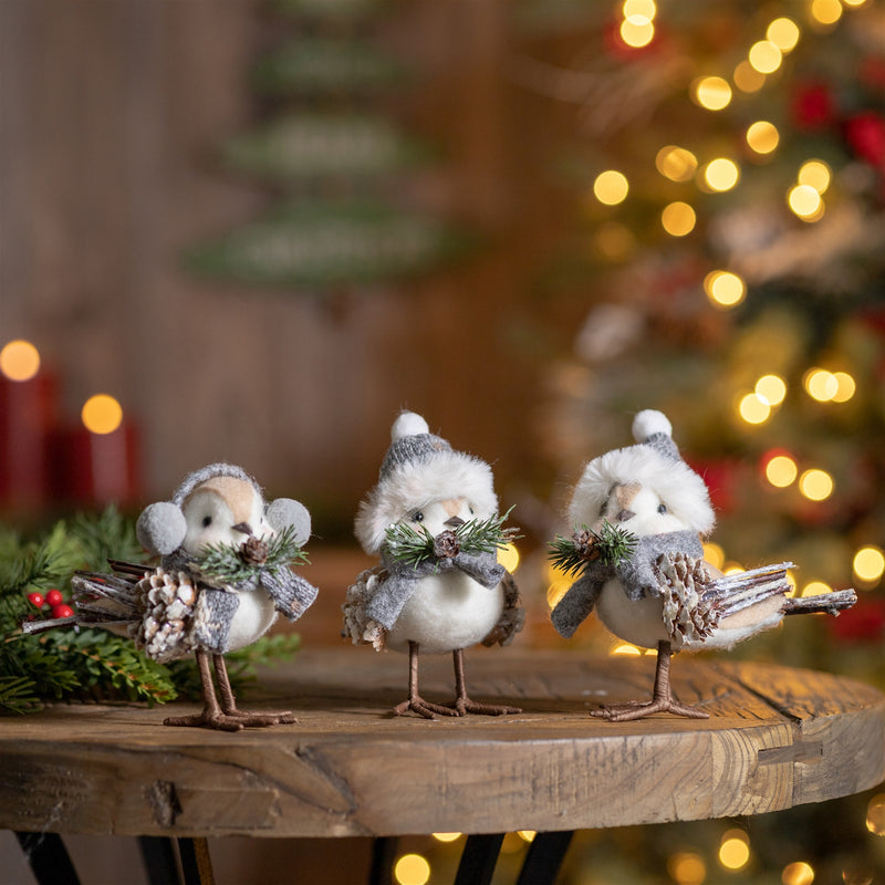 Festive Hat Winter Bird with Pinecones